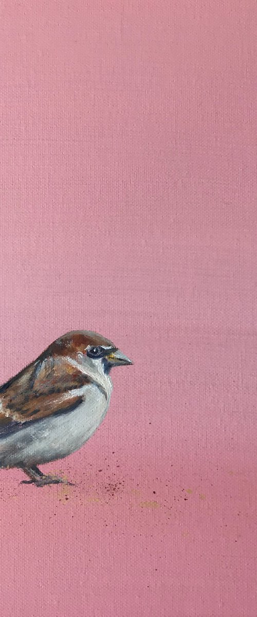 My Little Sparrow on Rose Gold by Laure Bury