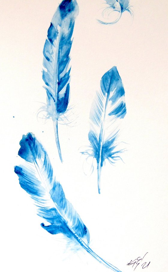Feathers collection