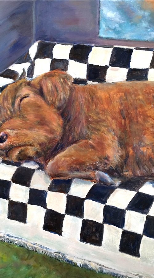 Highlander Cow At Home by Jura Kuba Art