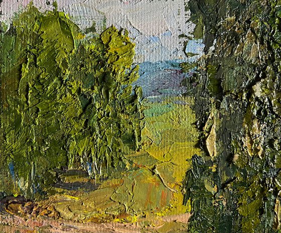 Sunny Day in the Birch Forest