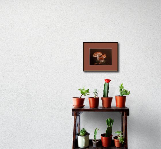 Family of mushrooms at Dusk