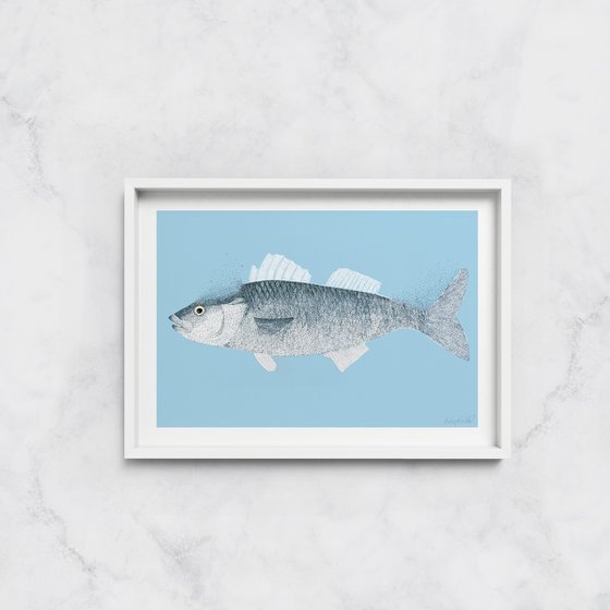 Fish - Illustration