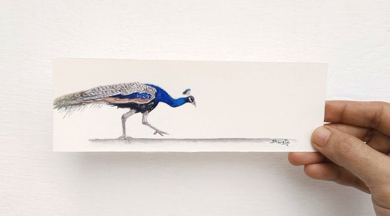 Peacock Miniature Art II