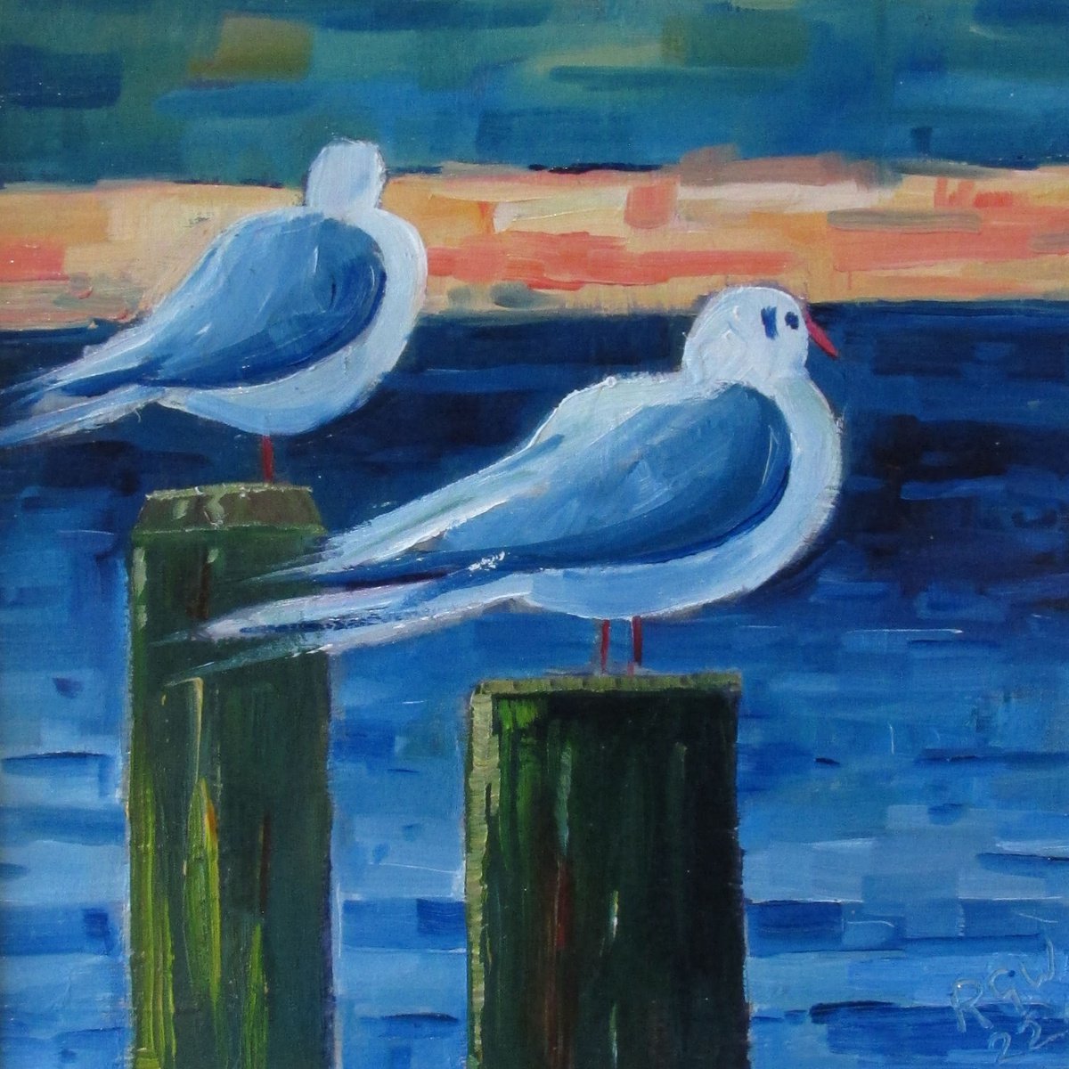 Solway Gulls by Robert Wells