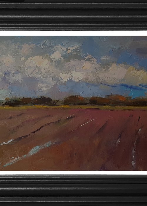 Sky and Red Ploughed Field by Andre Pallat