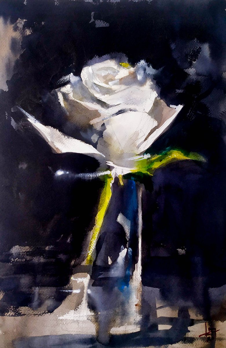 White rose by Flavio Furlan