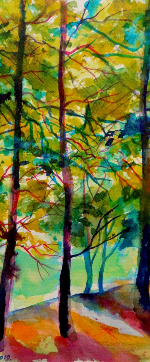 Red shadows in the forest by Maja Grecic