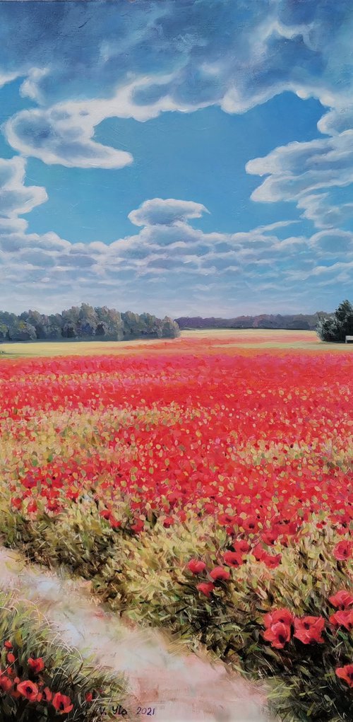 Poppy field by Valentinas Yla