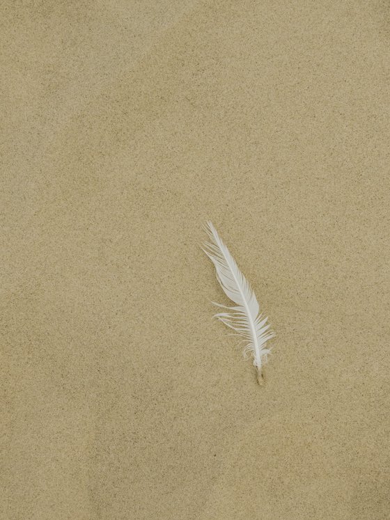 Left Behind