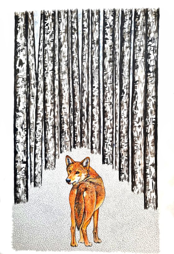 I Robbed The Woods IV