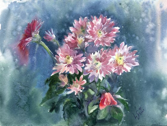 Chrysanthemums in Bloom
