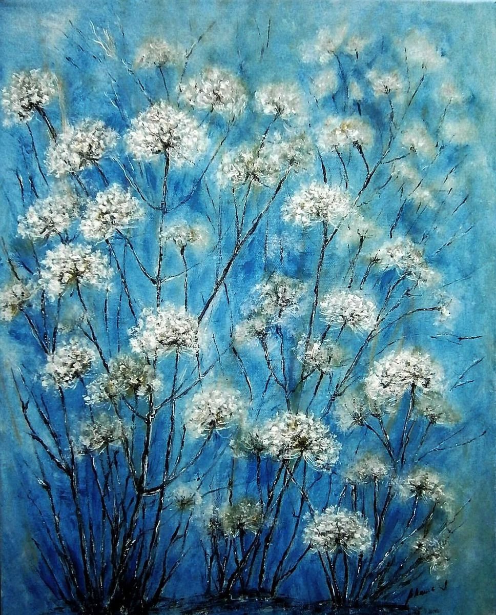 White flowers yarrow.. by Emilia Urbanikova