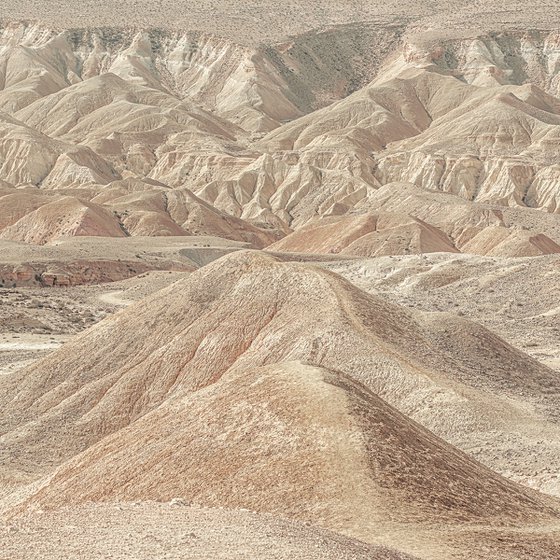 Negev Desert