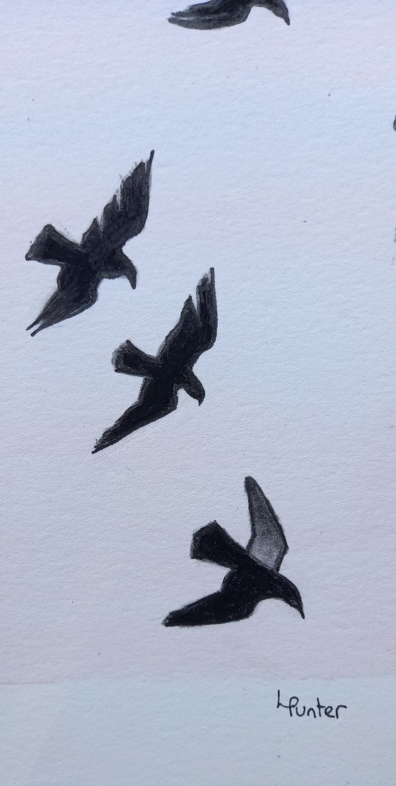 Flight 1