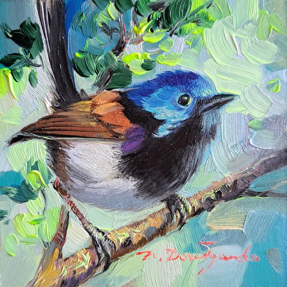 Fairywren bird painting