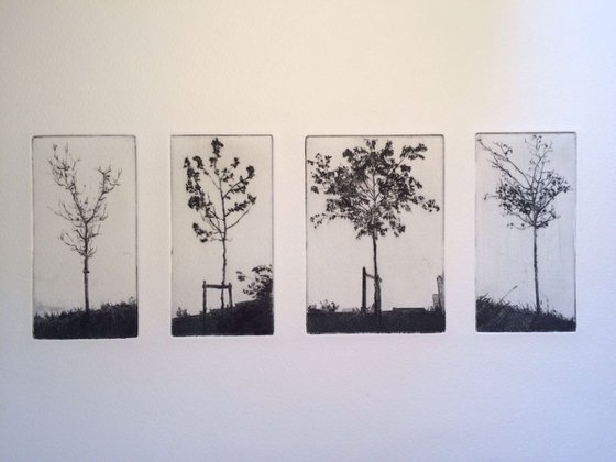 Group of four trees