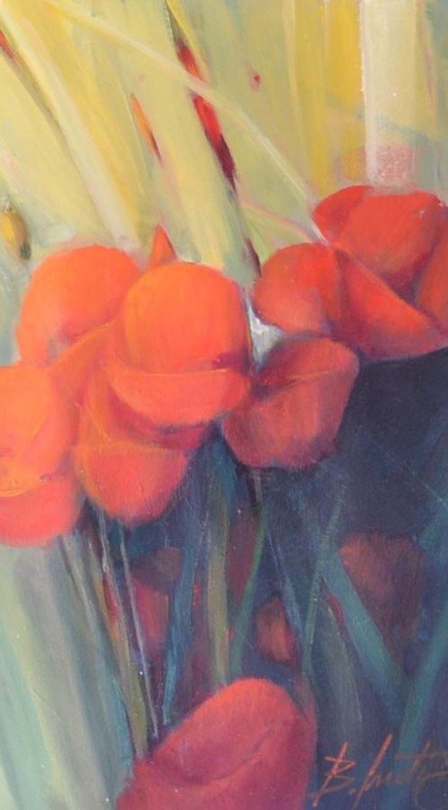 fire poppies by Boro Ivetic