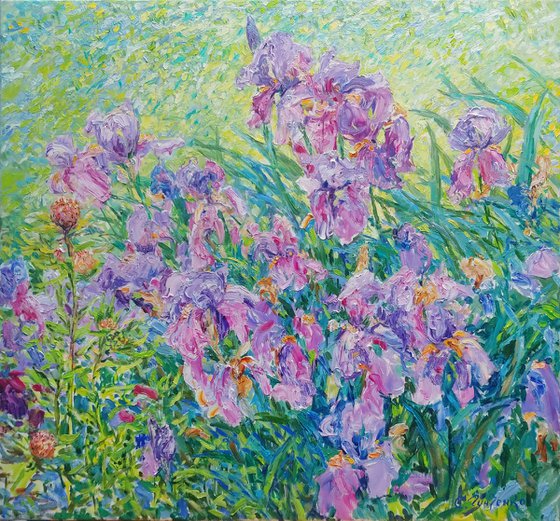 Irises in the light of the wind.