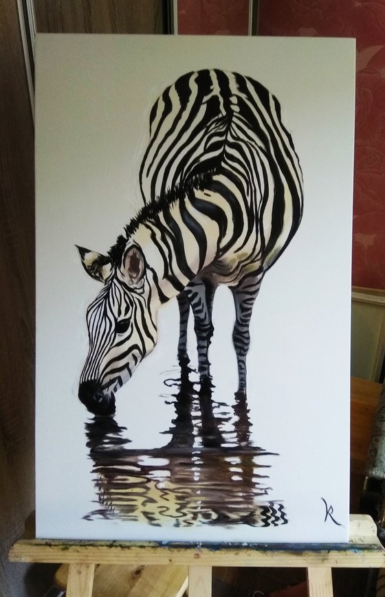 Zebra