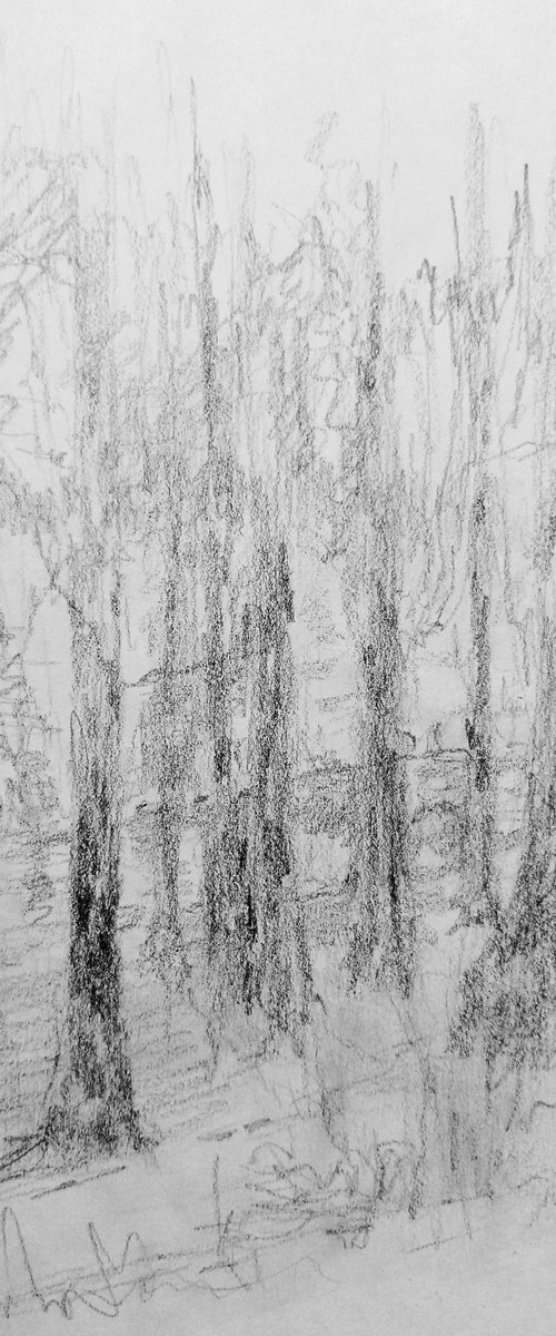 In the park. Sketch. Original pencil drawing on paper by Yury Klyan