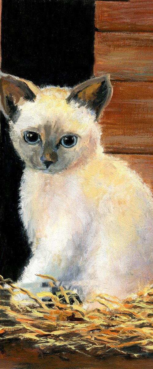 'A kitten in the barn' by Lucia Verdejo