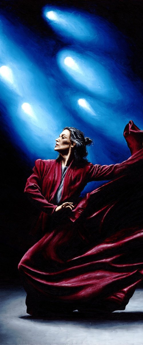 Flamenco Performance by Richard Young