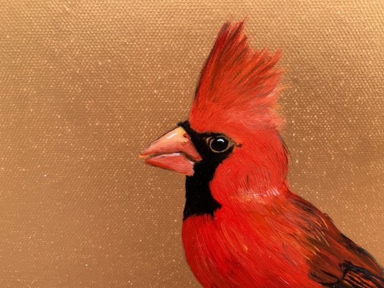 The Red Cardinal