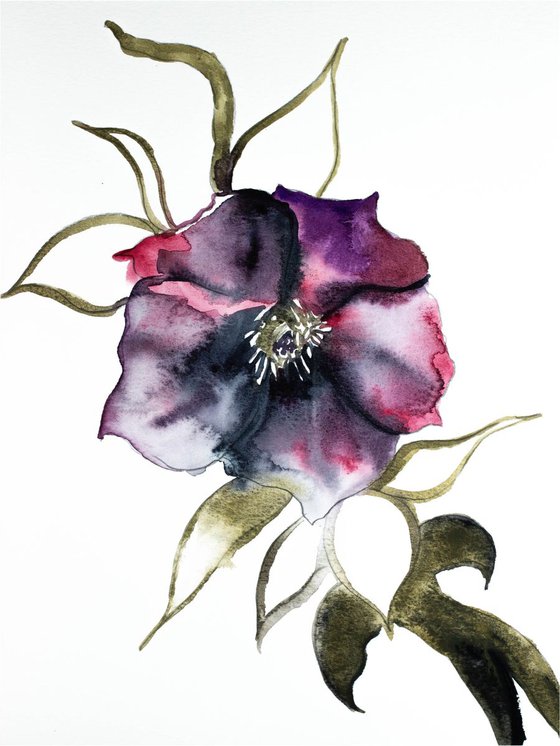 Hellebore No. 4