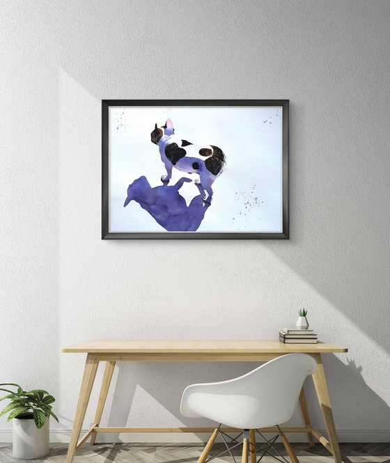 Black White Dog French Bulldog
