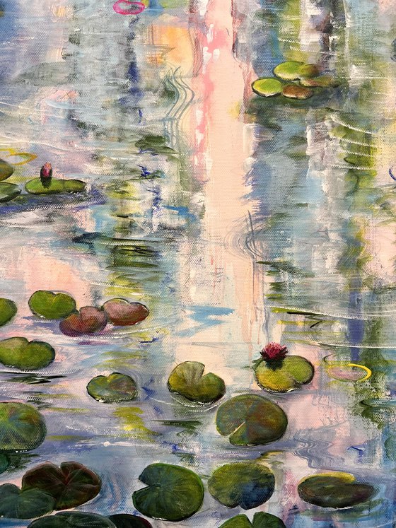 Water Lilies At Sunset 1