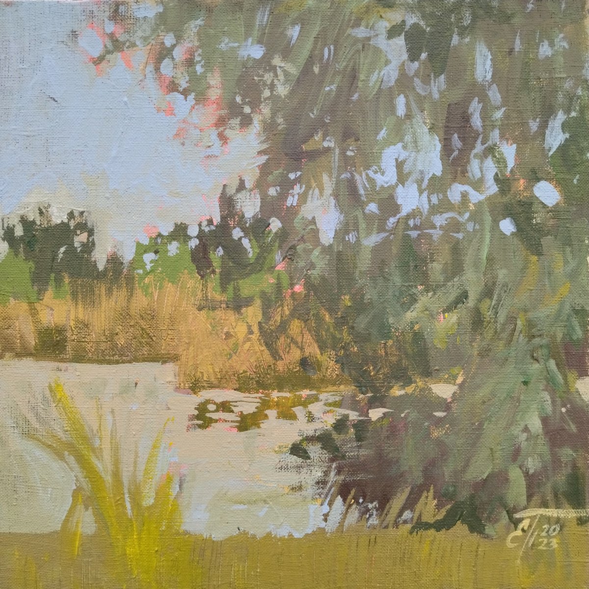 At the pond. Summer landscape with trees by Ekaterina Prisich
