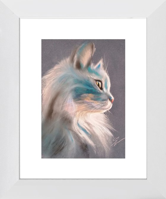 Frost, cat's portrait
