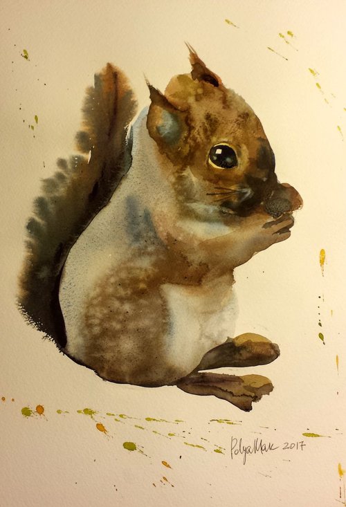 A squirrel by Polina Morgan
