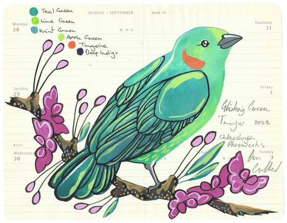Birds of South America: Glistening Green Tanager
