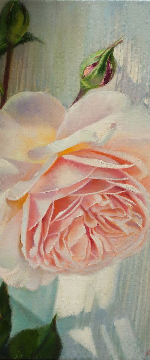 "Country Rose"  white pink macro rose flower  liGHt original painting  GIFT (2018) by Anna Bessonova (Kotelnik)