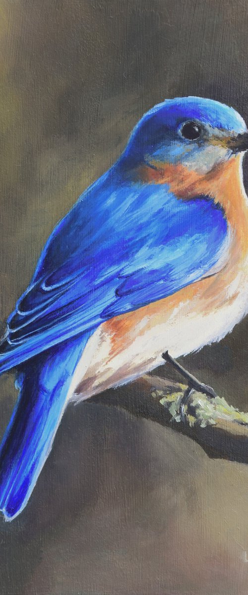 A touch of blue by Lucia Verdejo