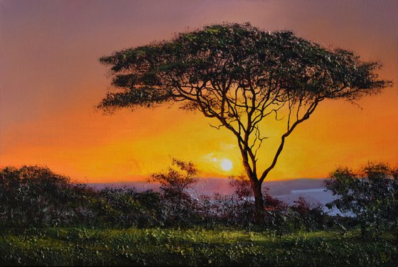 " Africa - Acacia tree " Special Price !!!