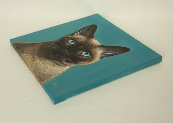 Elegant Siamese Cat