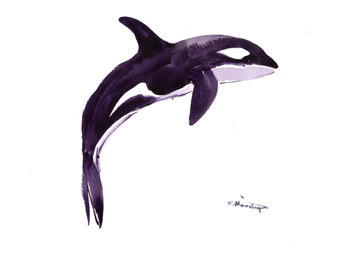 Orca, Killer Whale by Suren Nersisyan