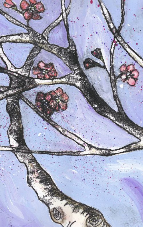 Cherry Blossom by Julia  Rigby