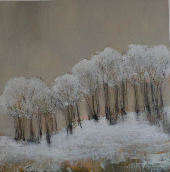 As We Made Our Way Along Winter Pathways.....