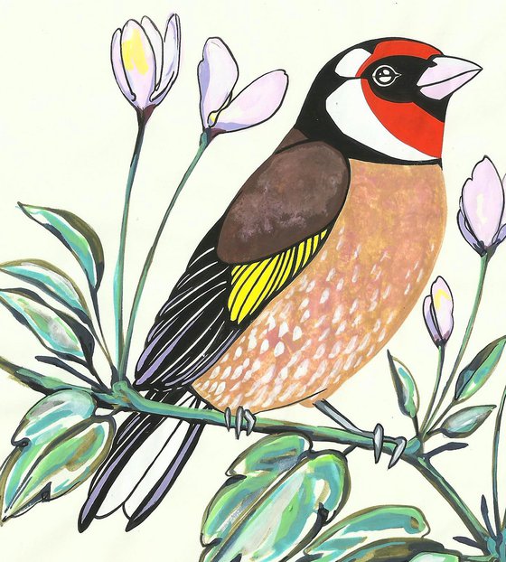 Goldfinch and Clematis