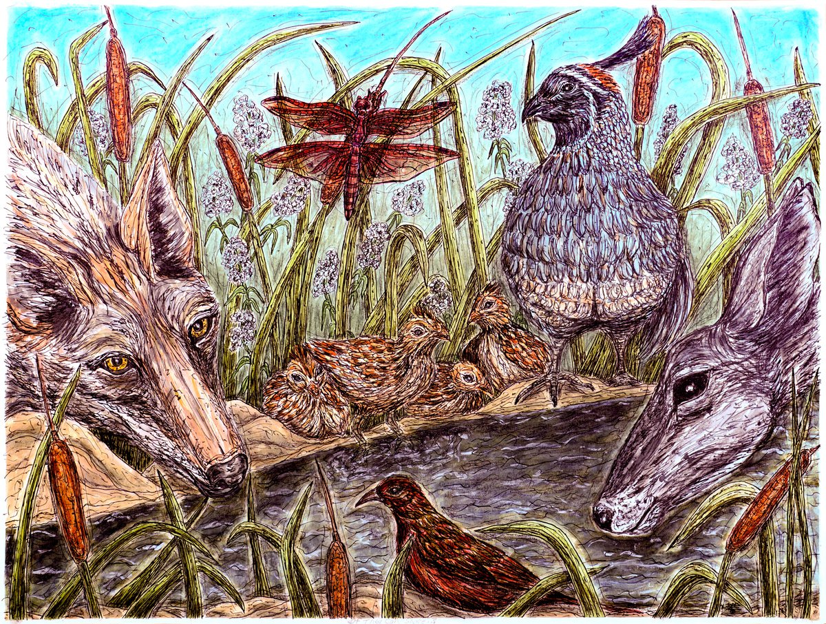 Photorealistic Animal Watercolour By Kim Jones Miller, 24 X 18", If They Can Share...?, Original Artwork