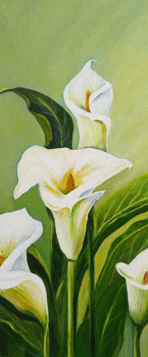 Calla Lilies by Anne-Marie Ellis