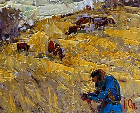 Autumn golden fields