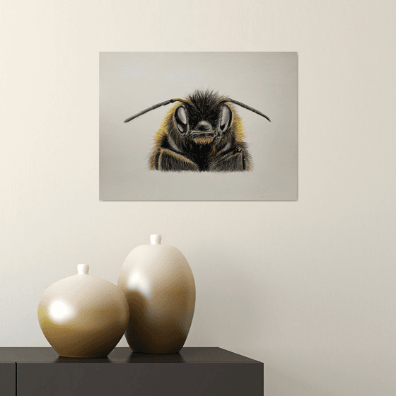 Bumblebee (close up ) my
