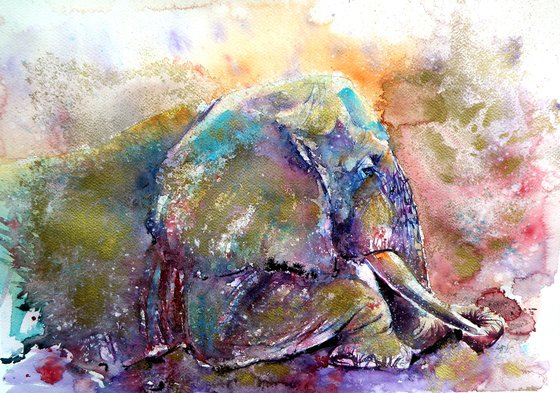 Resting elephant