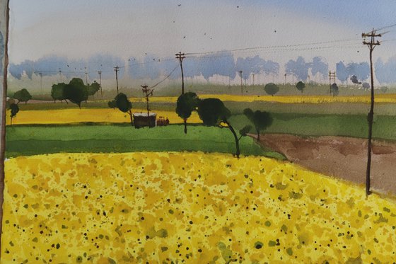 Sun flowers, yellowing greens