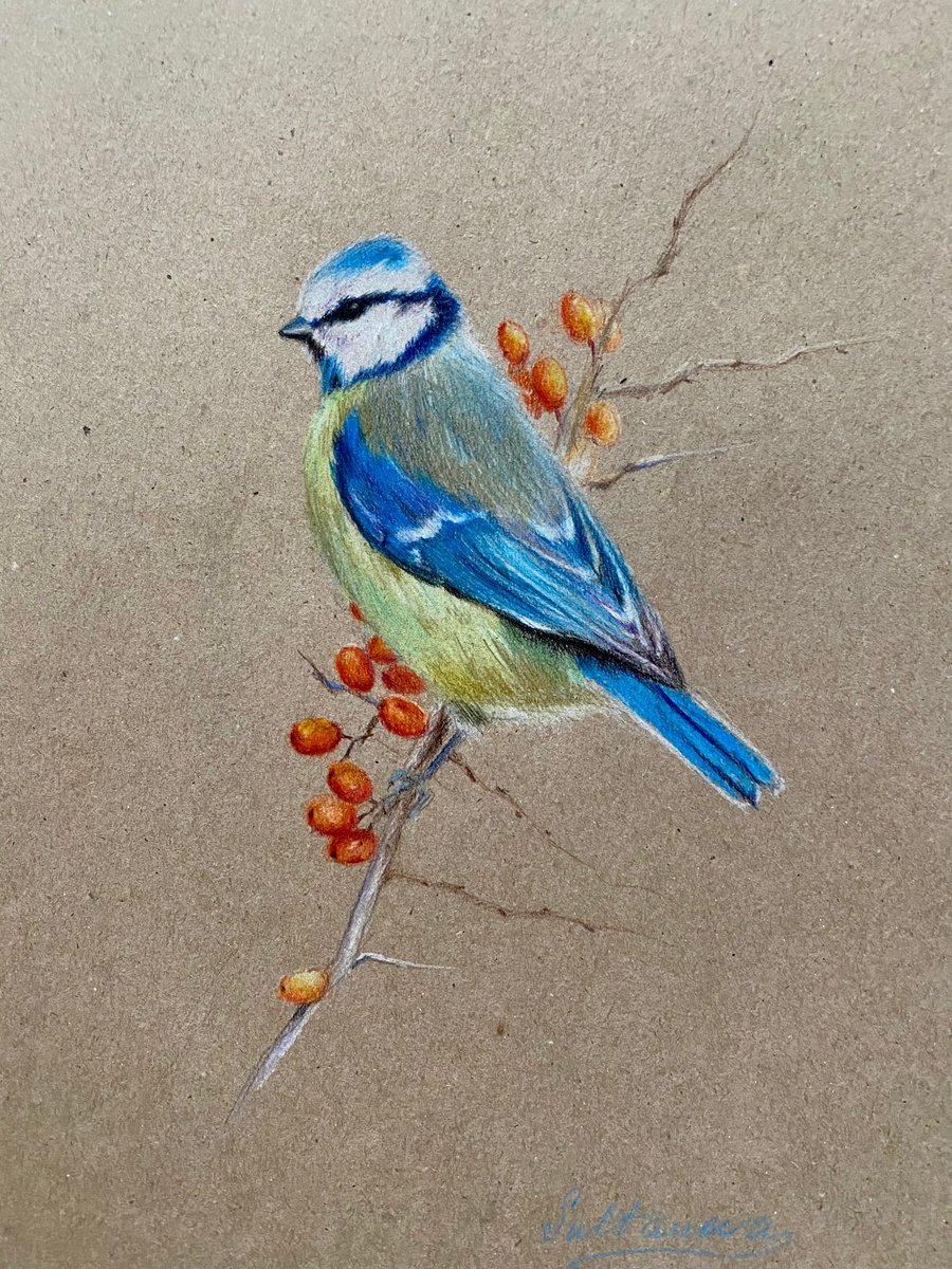Bird with berries by Elvira Sultanova