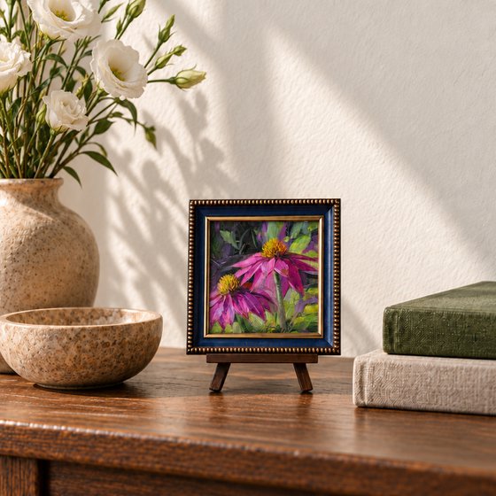 Echinacea flower